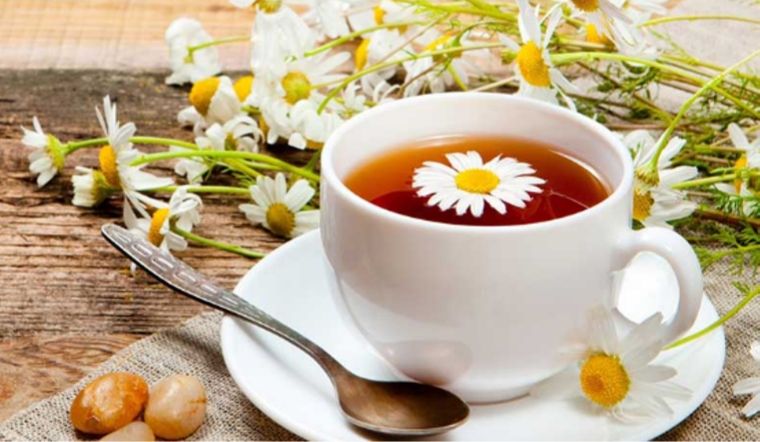 Benefits of honey chrysanthemum tea and notes when using it every day