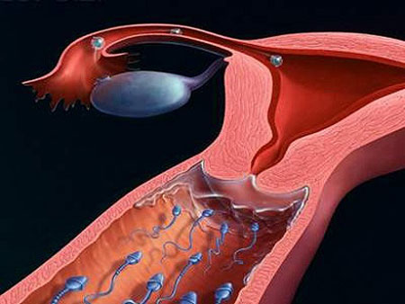 How does vaginal dryness affect reproductive health? - Photo 2.